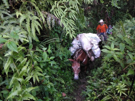 San Francisco El Suspiro